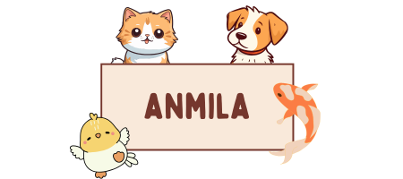 Anmila